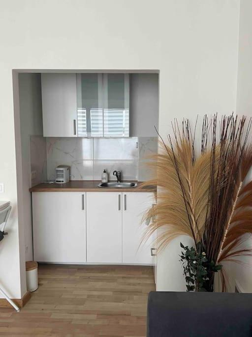 Apartamento Belgielei 94 Amberes Exterior foto