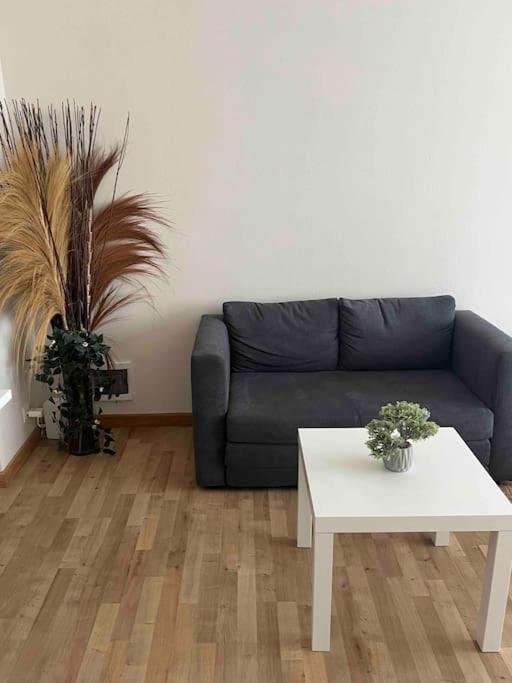 Apartamento Belgielei 94 Amberes Exterior foto